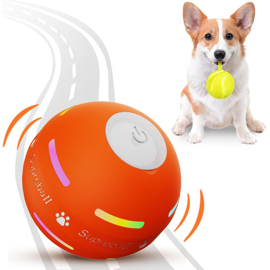 Automatic Bouncy Ball for Dogs