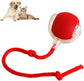 Interactive Dog & Cat Ball - Toy