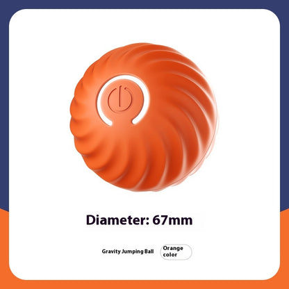 Automatic Bouncy Ball for Dogs