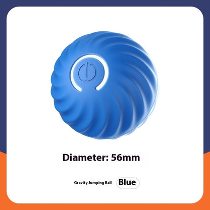 Automatic Bouncy Ball for Dogs