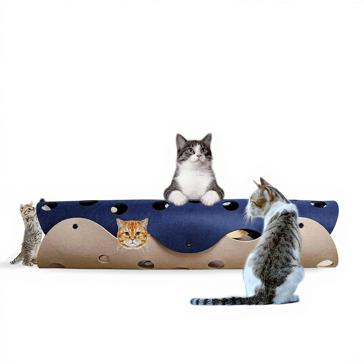 Enhanced product photo of Cat tunnel toy with peepholes for indoor cats