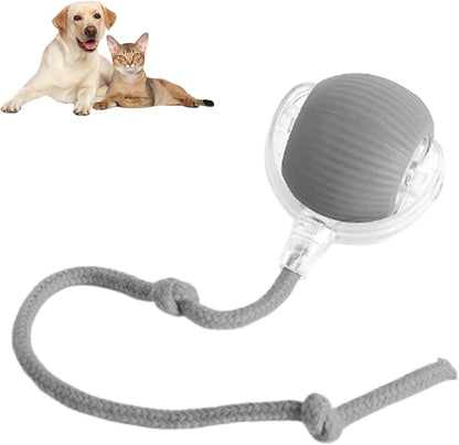 Interactive Dog & Cat Ball - Toy
