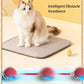 Interactive Dog & Cat Ball - Toy