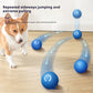 Automatic Bouncy Ball for Dogs