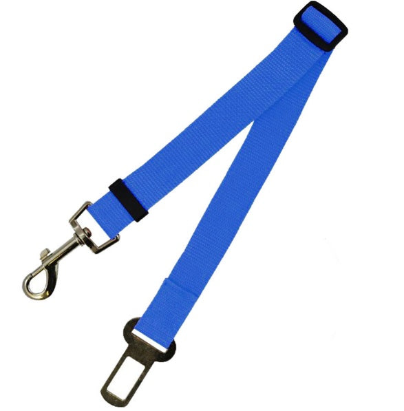 Blue lanyard with metal clip on a white background