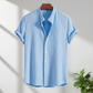 Blue striped shirt on a hanger with a plant in the corner