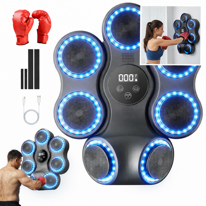 Punching & Training Punch Pads - Wall-Mounted