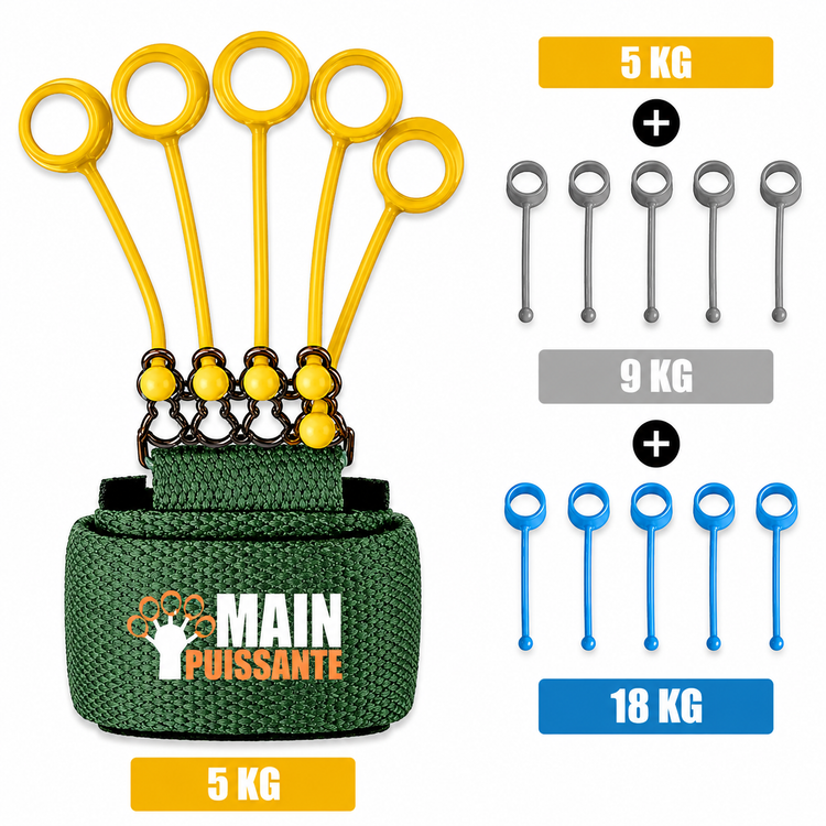 Dog training tool with weight options displayed on a white background