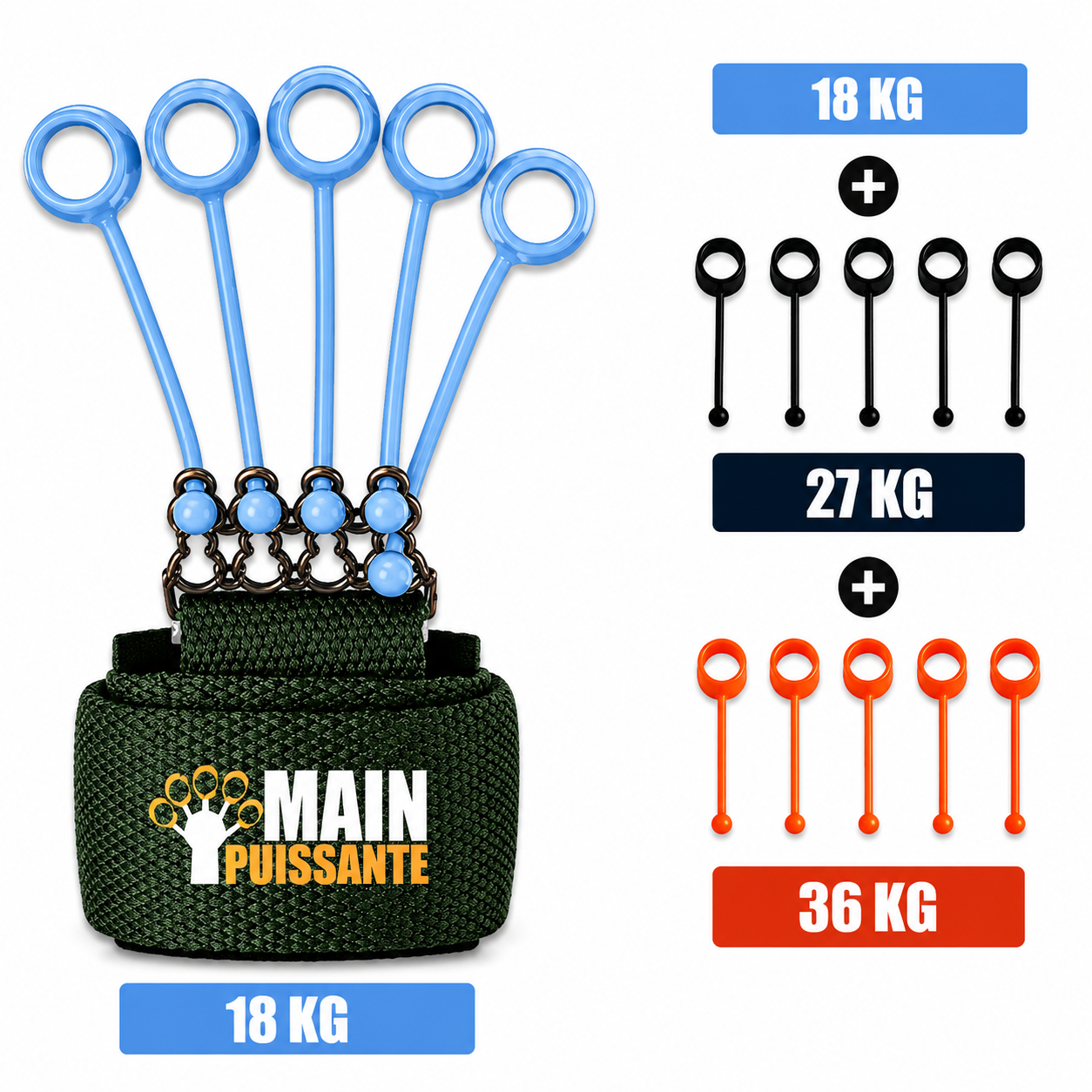 Dog training tool with weight indicators and &
