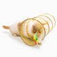 A fluffy cream and brown cat plays with a tunnel toy made of yellow mesh with green, orange, and red trim, on a clean white background.