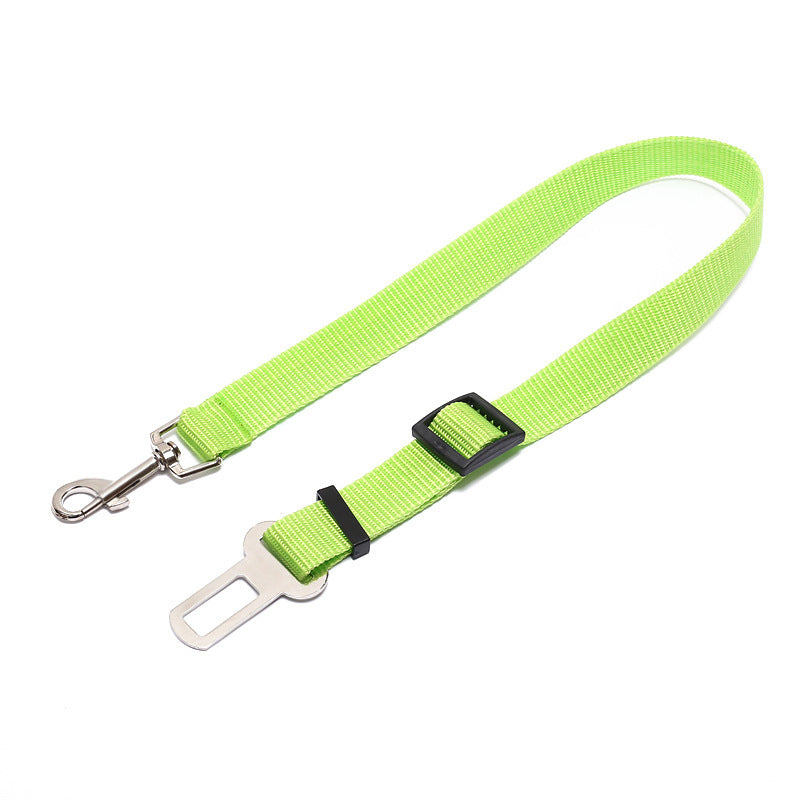 Green dog leash with metal clip and car seat belt adapter on a white background