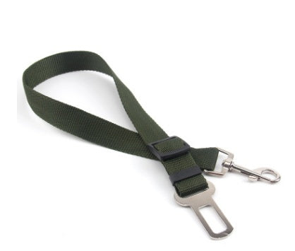 Green dog leash with metal clip on a white background