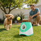 Dog playing with a ball launched from a green and white device in a backyard.