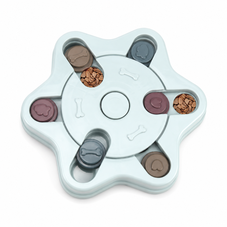 Star-shaped pet treat dispenser with compartments on a white background