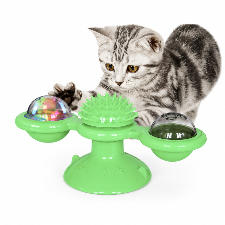 Cat playing with a green interactive pet toy on a white background