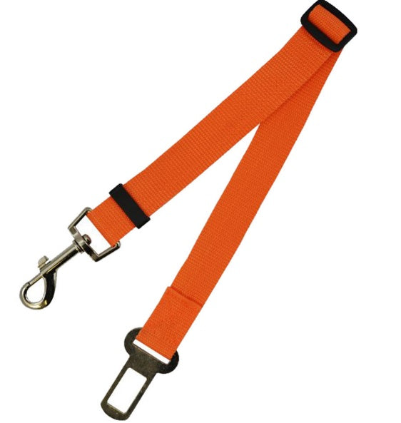 Orange dog leash with metal clip on a white background