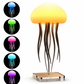 Portable Jellyfish Night Lamp With Inset Photos Of Variants