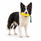 Dog holding a yellow chew toy with a white background