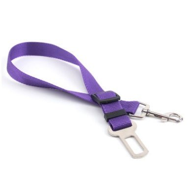 Purple dog leash with a metal clip on a white background