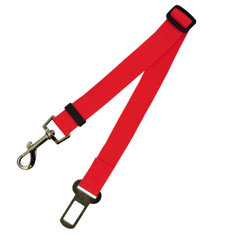 Red dog leash with metal clip on a white background