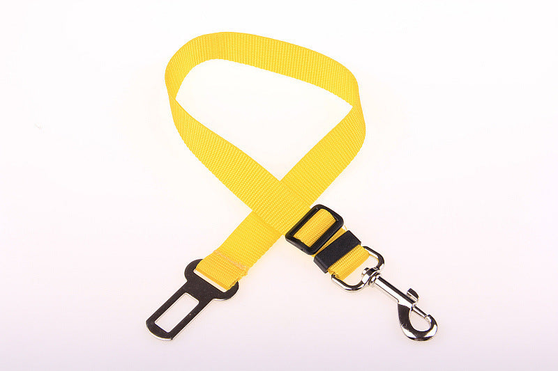 Yellow dog leash with black clip on a white background