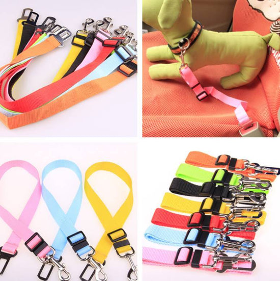 Secure Car Leash Strap for Dogs