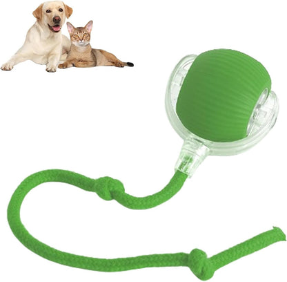 Interactive Dog & Cat Ball - Toy