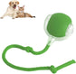 Interactive Dog & Cat Ball - Toy
