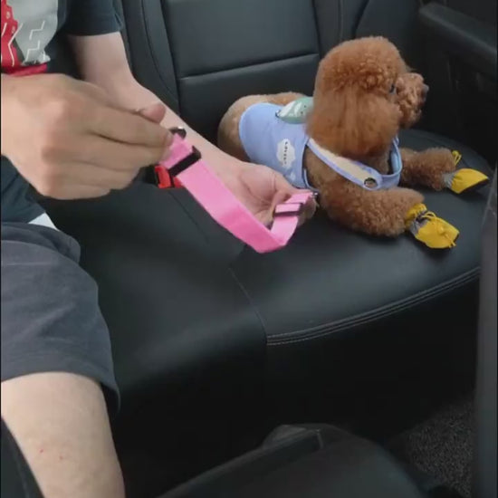 Pink Dog leash with a dog fastened safely in a car