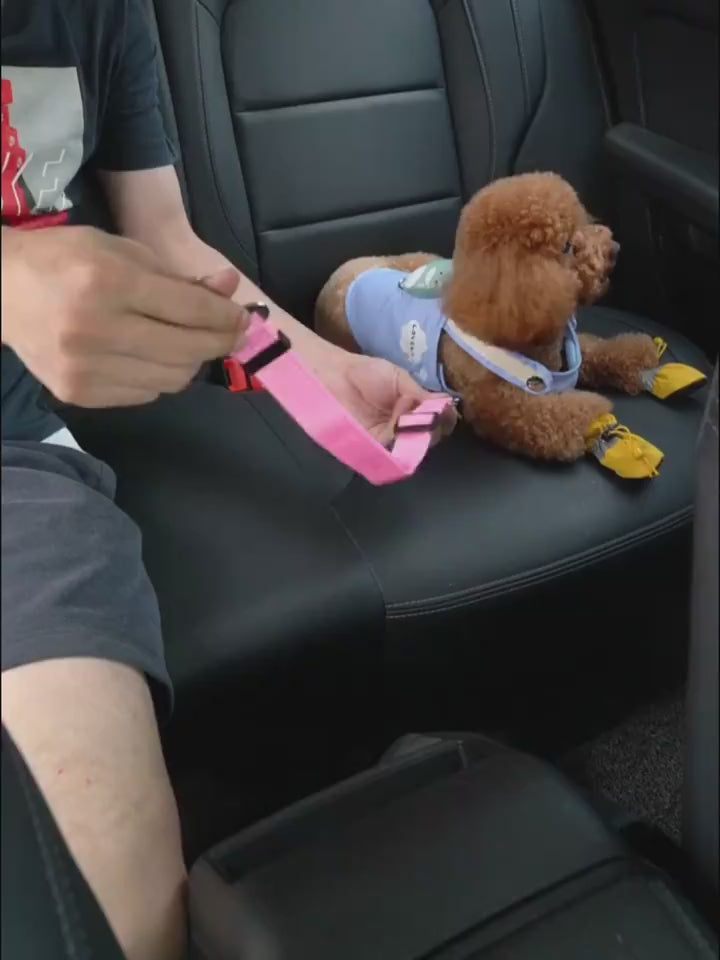 Pink Dog leash with a dog fastened safely in a car