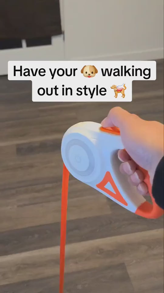 White and orange pet leash and collar set on a wooden surface