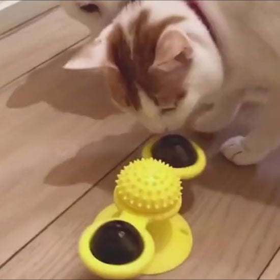 Interactive Rotating Windmill Toys For Dogs & Cats 