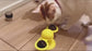 Interactive Rotating Windmill Toys For Dogs & Cats 