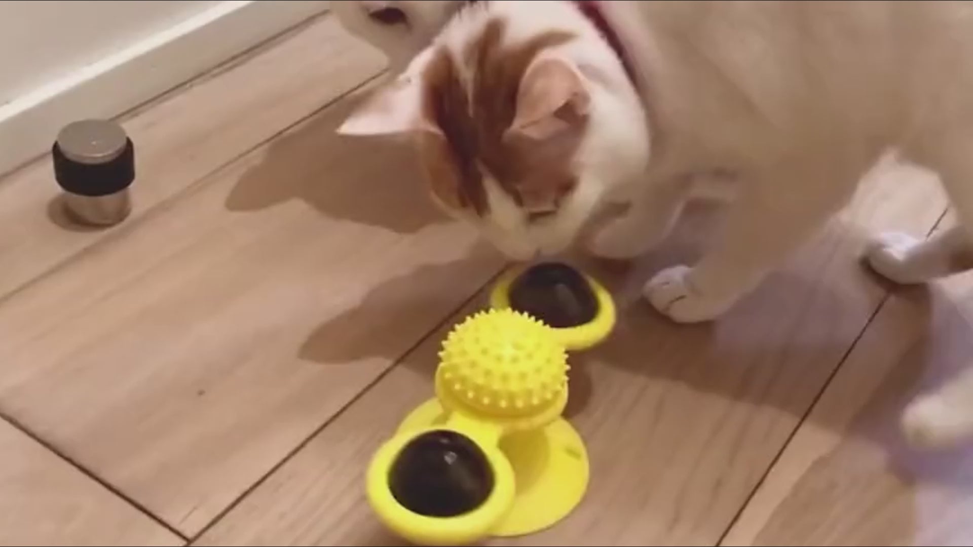 Interactive Rotating Windmill Toys For Dogs & Cats 