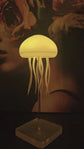 Portable Jellyfish Night Lamp On Display For Sale