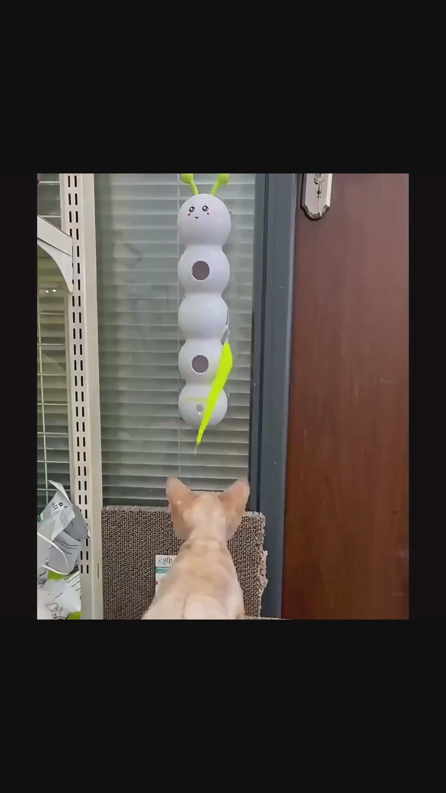 Motion Activated Interactive Cat Toy for Indoor Cats