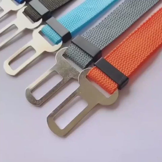 Dog leash with black clip on a white background