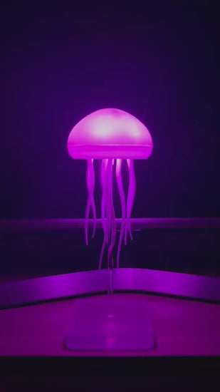 Portable Jellyfish Night Lamp On Display