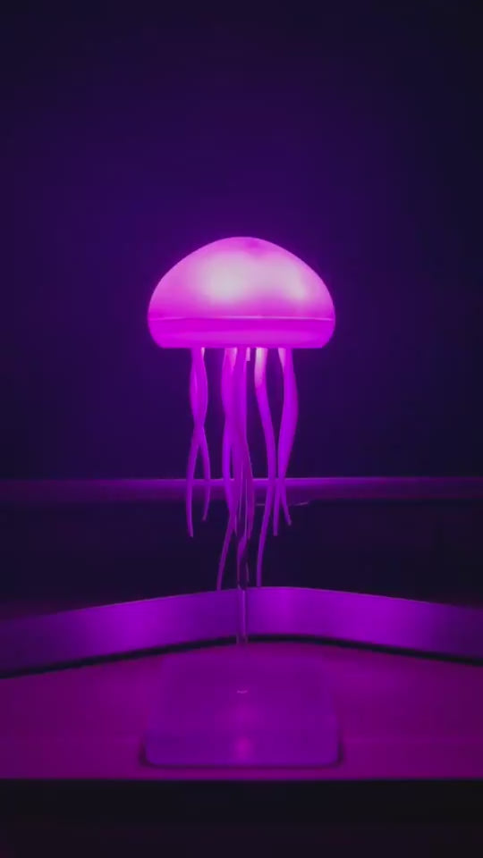 Portable Jellyfish Night Lamp On Display
