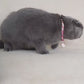 Sisal Scratcher Mat For Cats/Sofa Protector 013