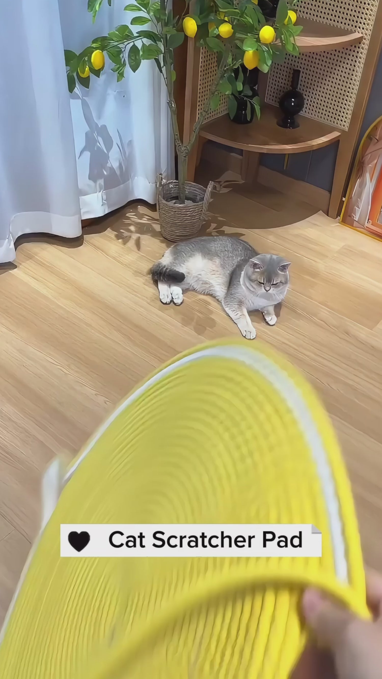 Braided Cotton Rope Scratching Mat for Cats and Kittens 00