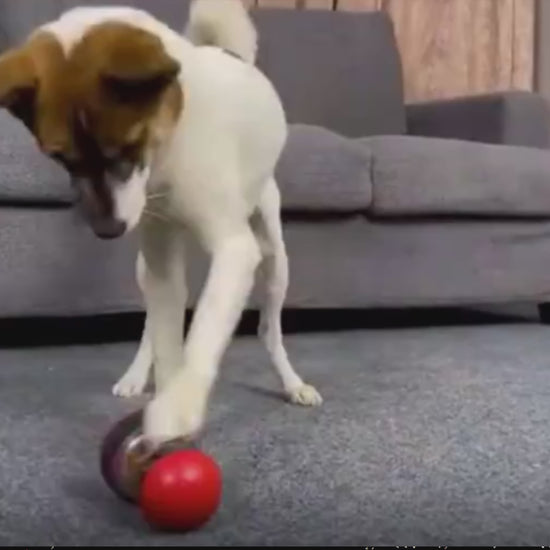 Interactive Dog Treat Dispensing Ball 02
