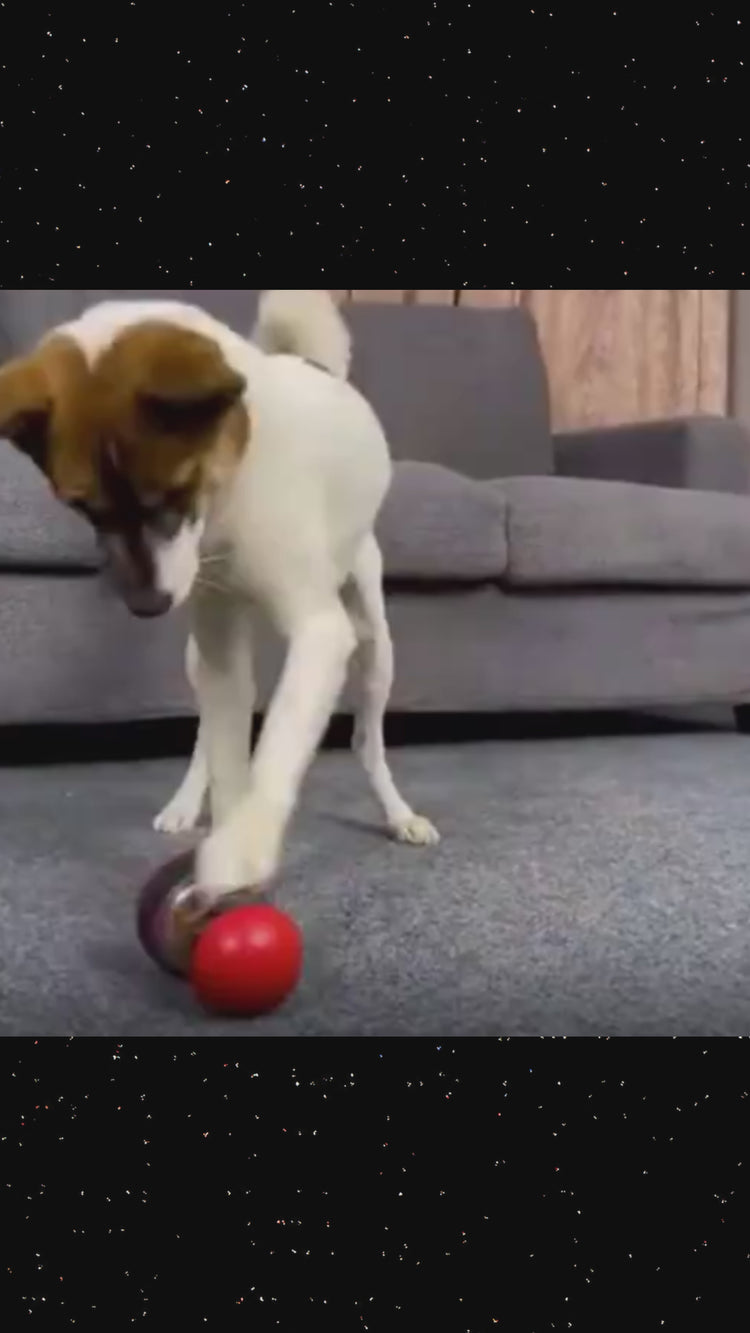 Interactive Dog Treat Dispensing Ball 02