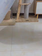 Interactive Water Bed For Dogs & Cats