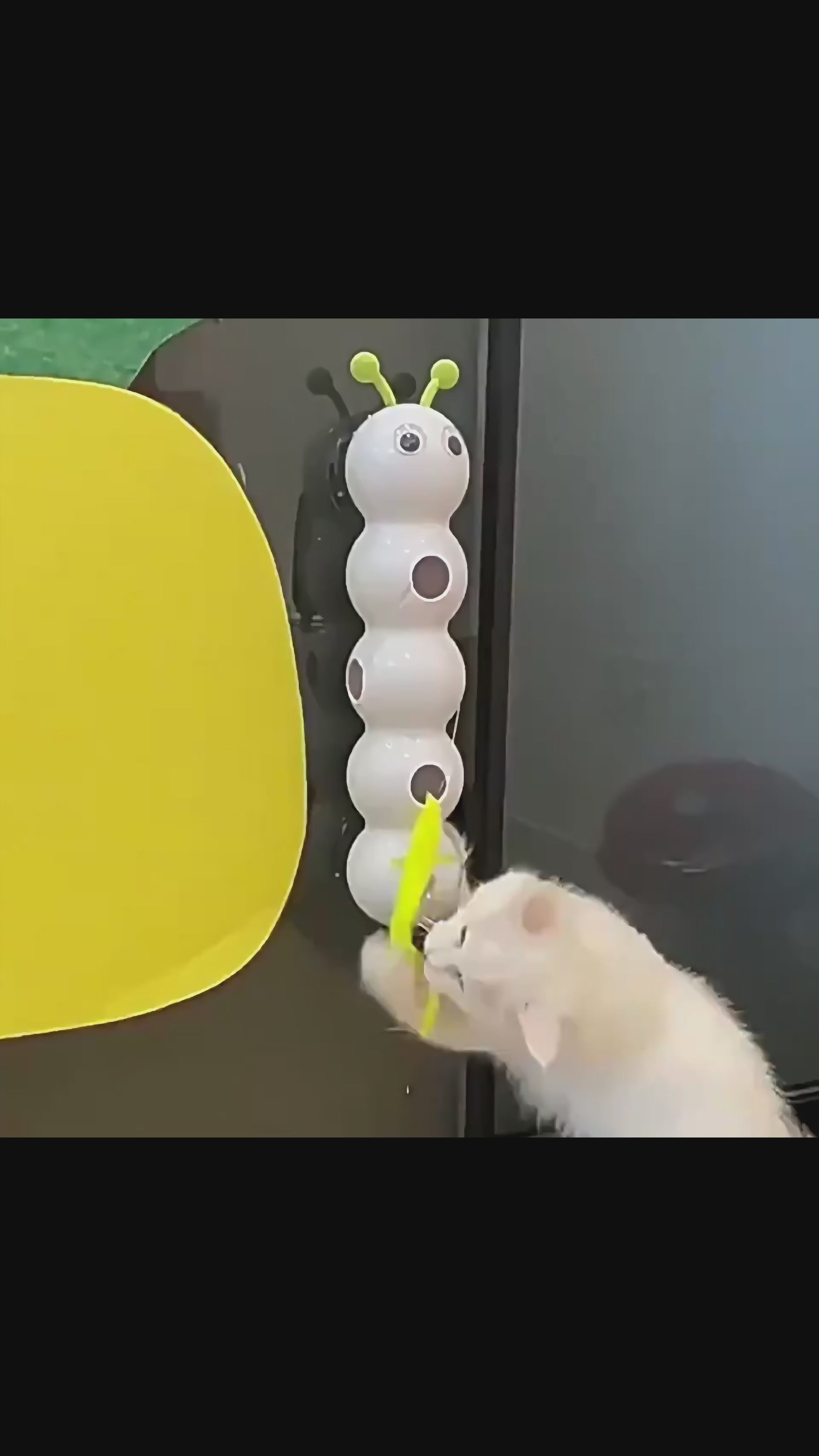 Motion Activated Interactive Cat Toy for Indoor Cats