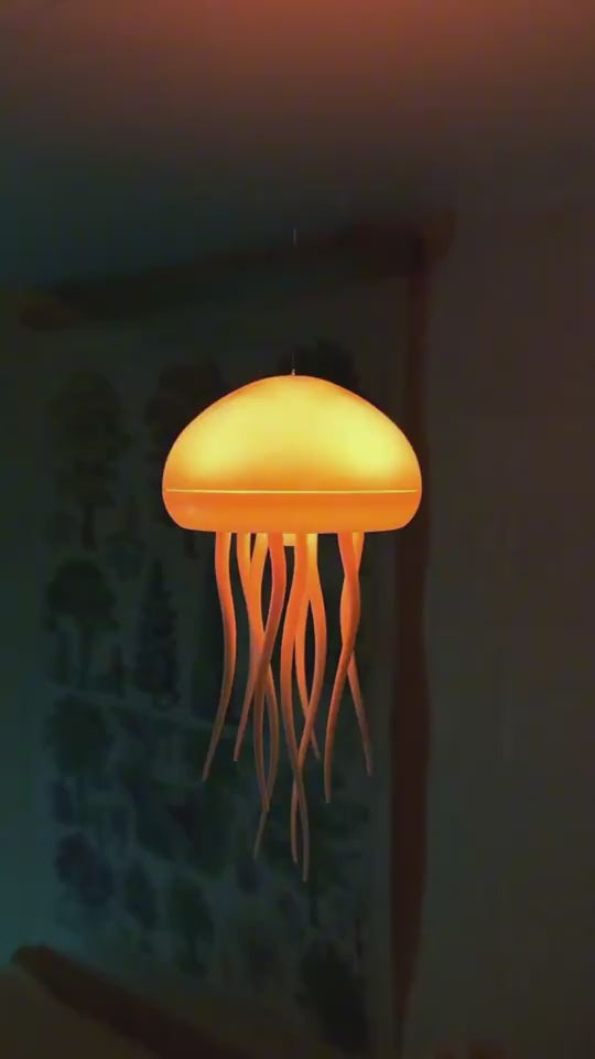 Portable Jellyfish Night Lamp On Display For Sale