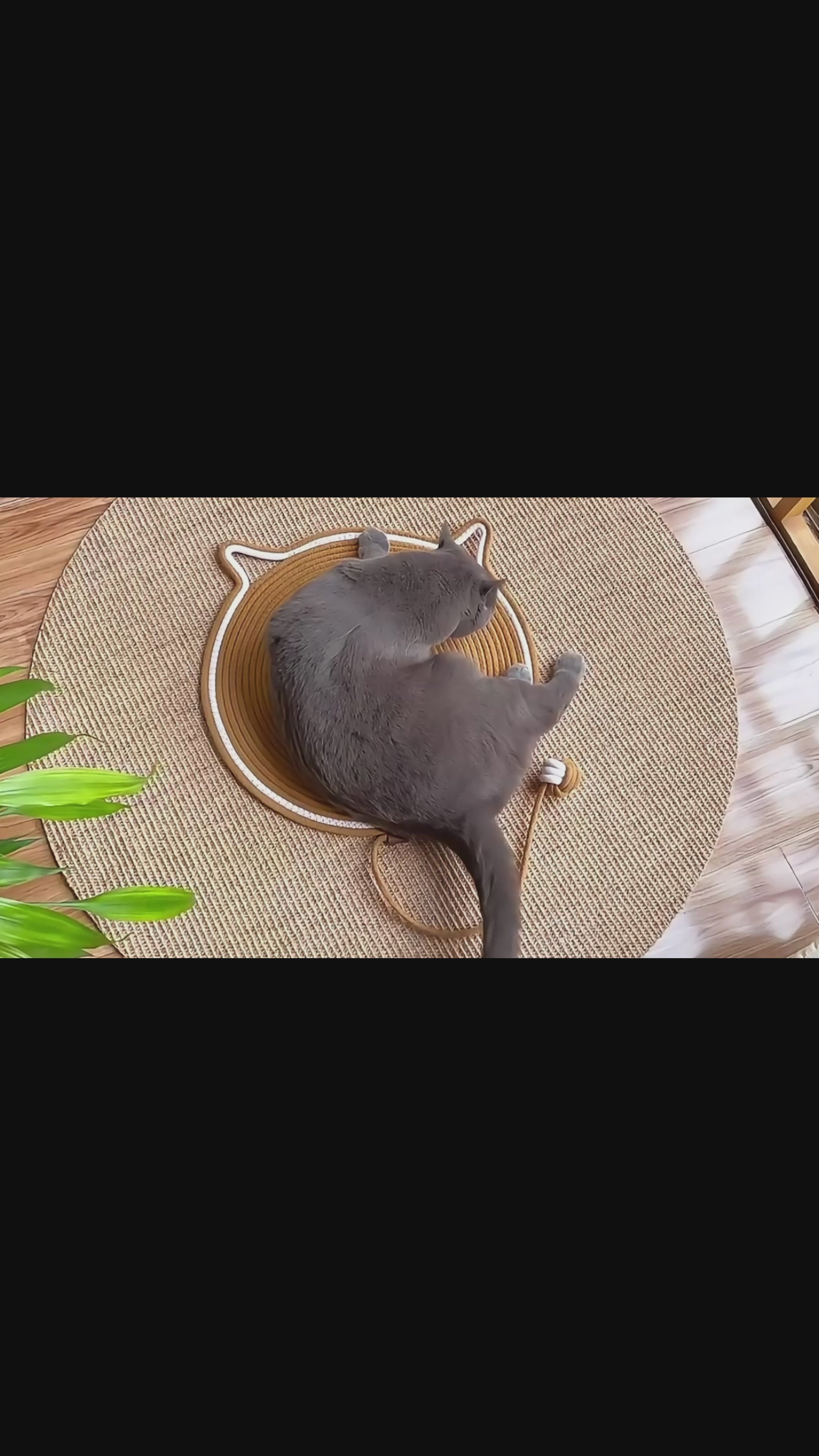 Braided Cotton Rope Scratching Mat for Cats and Kittens 00